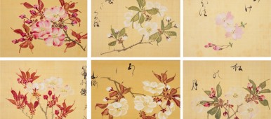 坂本浩然「桜花譜」