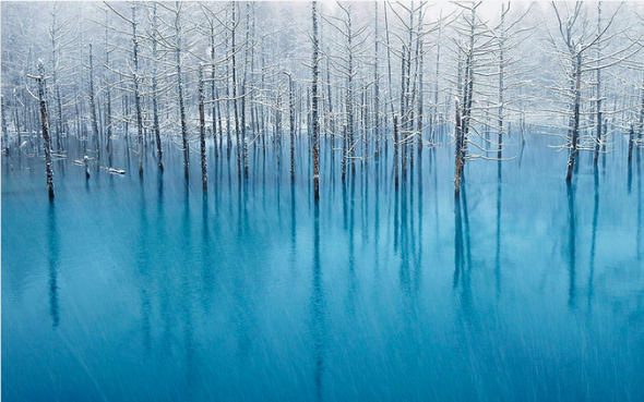北海道 美瑛町の 青い池 がアップル社の壁紙に採用 アート Japaaan