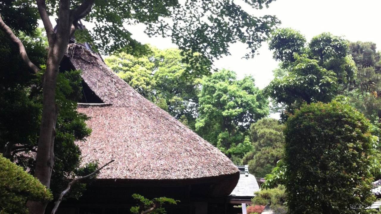 武蔵野台地に佇む、築170年の民家