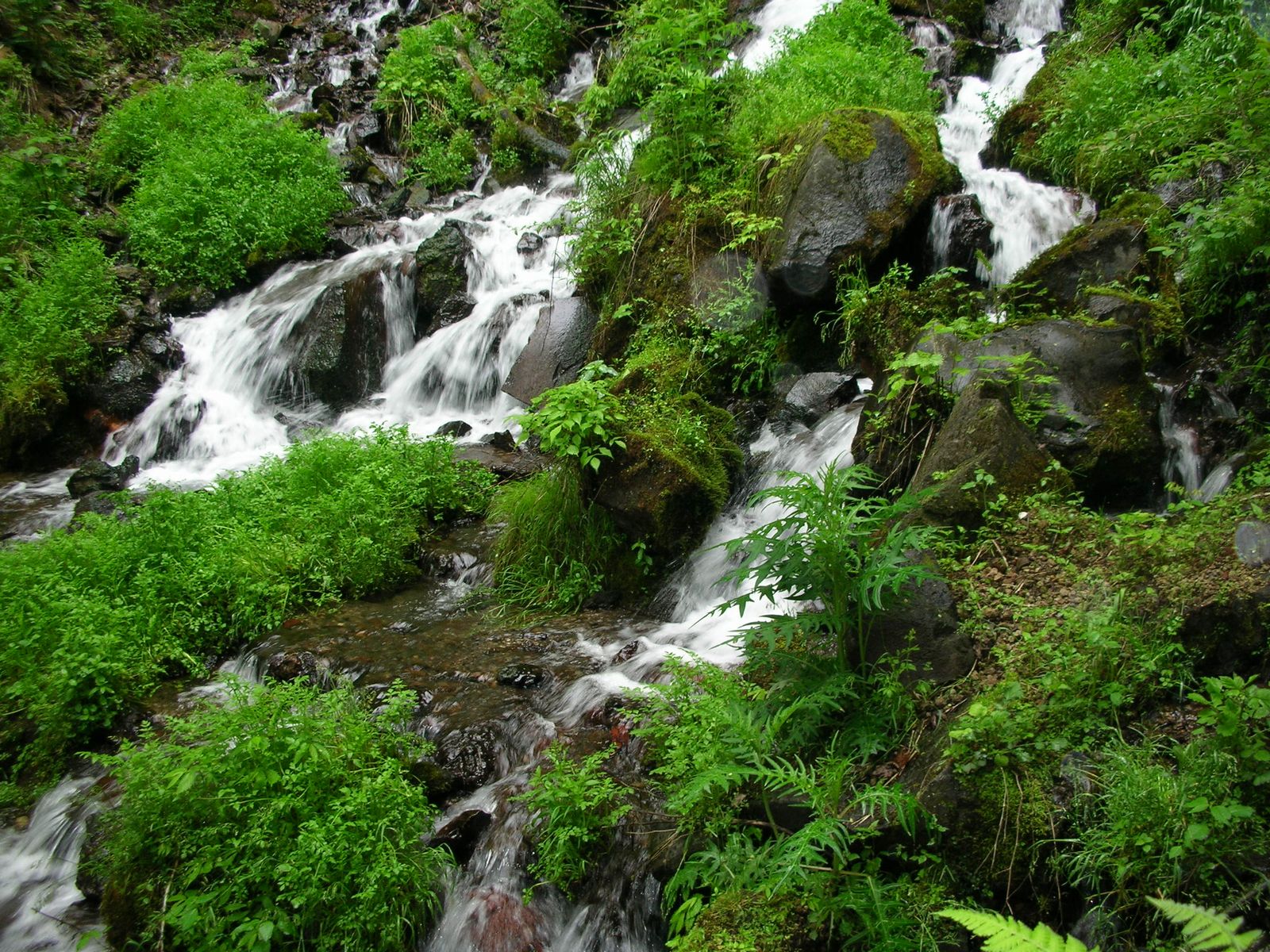 風鈴の音で涼しくなれる人なれない人 ライフスタイル Japaaan
