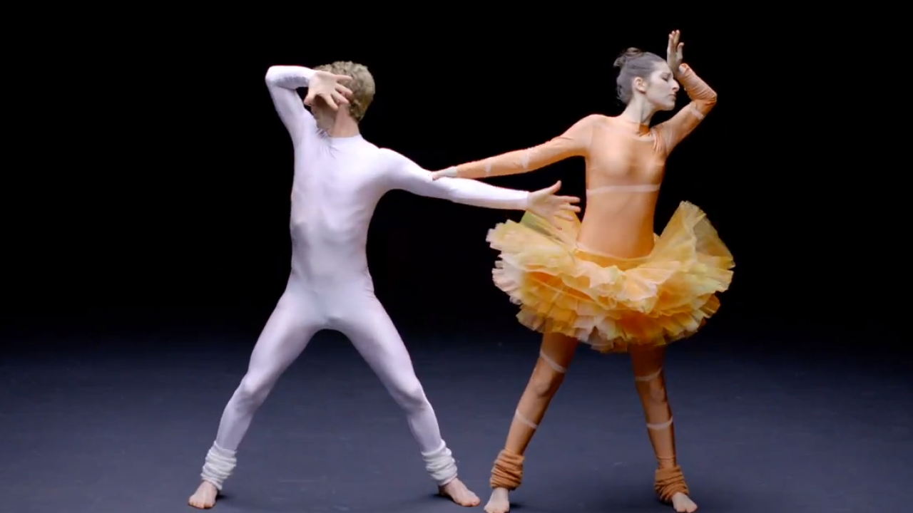 「お寿司」を白鳥の湖に合わせてバレエで表現する…という謎の動画！