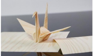 鶴が折れるほどの薄い木材。京都・北山杉の新たな可能性