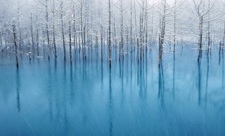 iOS7でも日本人写真家による「美瑛町 青い池」が壁紙に採用される模様