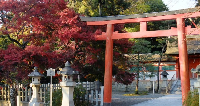 組み合わせ次第でご利益がいっぱい な八幡神社 歴史 文化 Japaaan