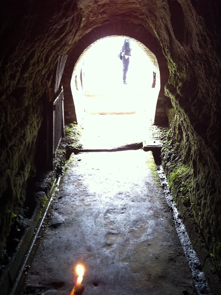 手洗いをしっかりしよう！Japaaan		東京にこんな場所が！1500年以上前に掘られた洞窟「弁天洞窟」RELATED 関連する記事RANKING ランキング