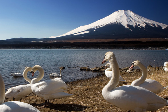 富士山の冬姿