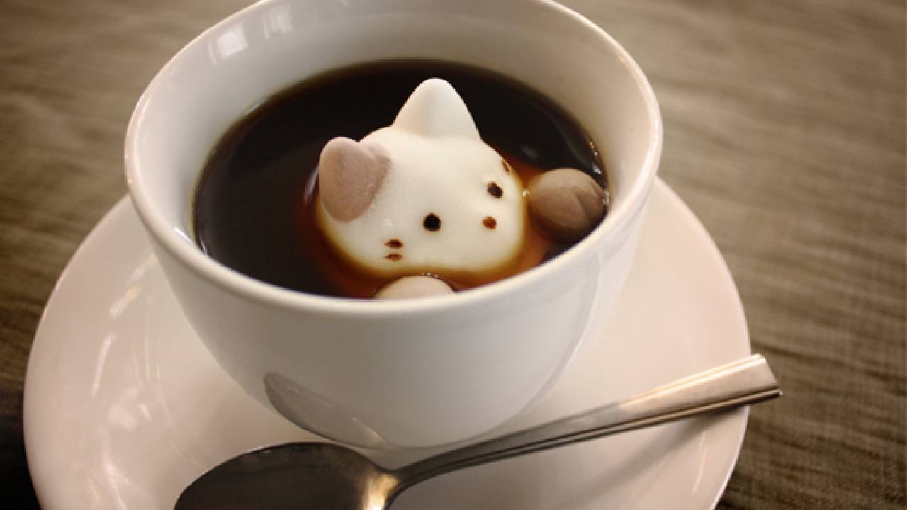 可愛すぎて食べれない人続出。コーヒーの中からなんと猫ちゃん！？