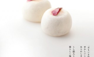 春にぴったり！桜がモチーフの人気和菓子5選
