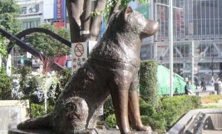 渋谷駅 ハチ公像の原型が８０年ぶりに発見されました