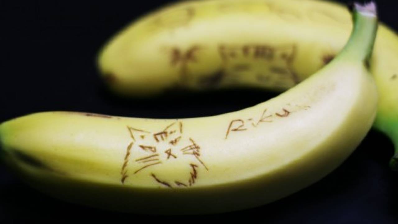 新たな日本工芸が誕生 キミはバナナ彫刻を知っているか アート Japaaan