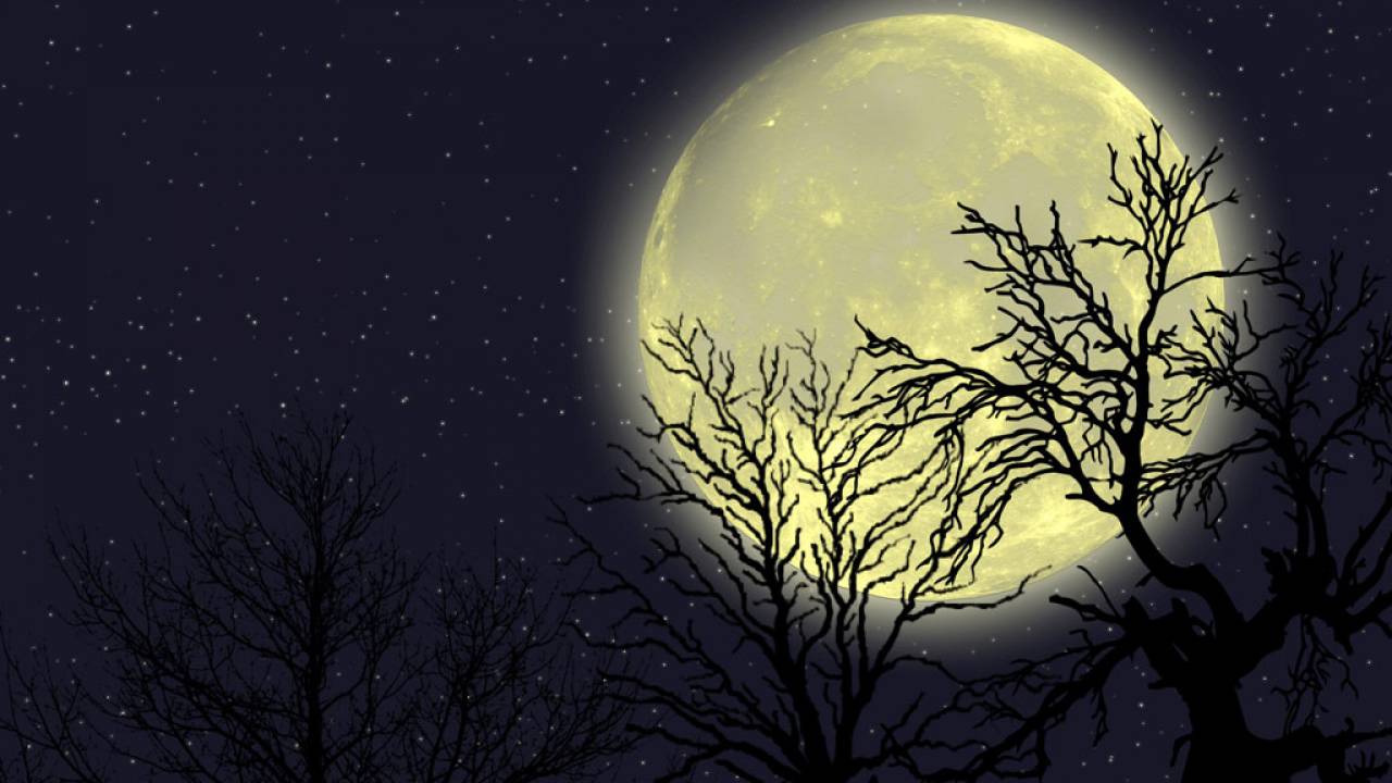 もうすぐお月見・十五夜！でもどうしてこの日に月を見るようになったの？
