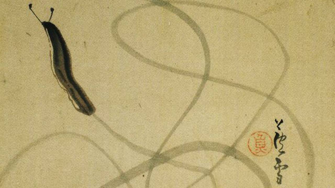 長沢蘆雪が描いた「なめくじ図」という日本画がとってもおもしろいっ♪