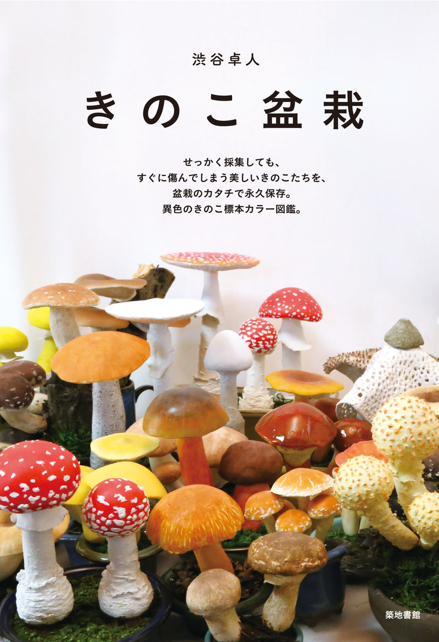 次にくるのはこれ！？観賞用のきのこ？ちょっと不思議ワールドな 
