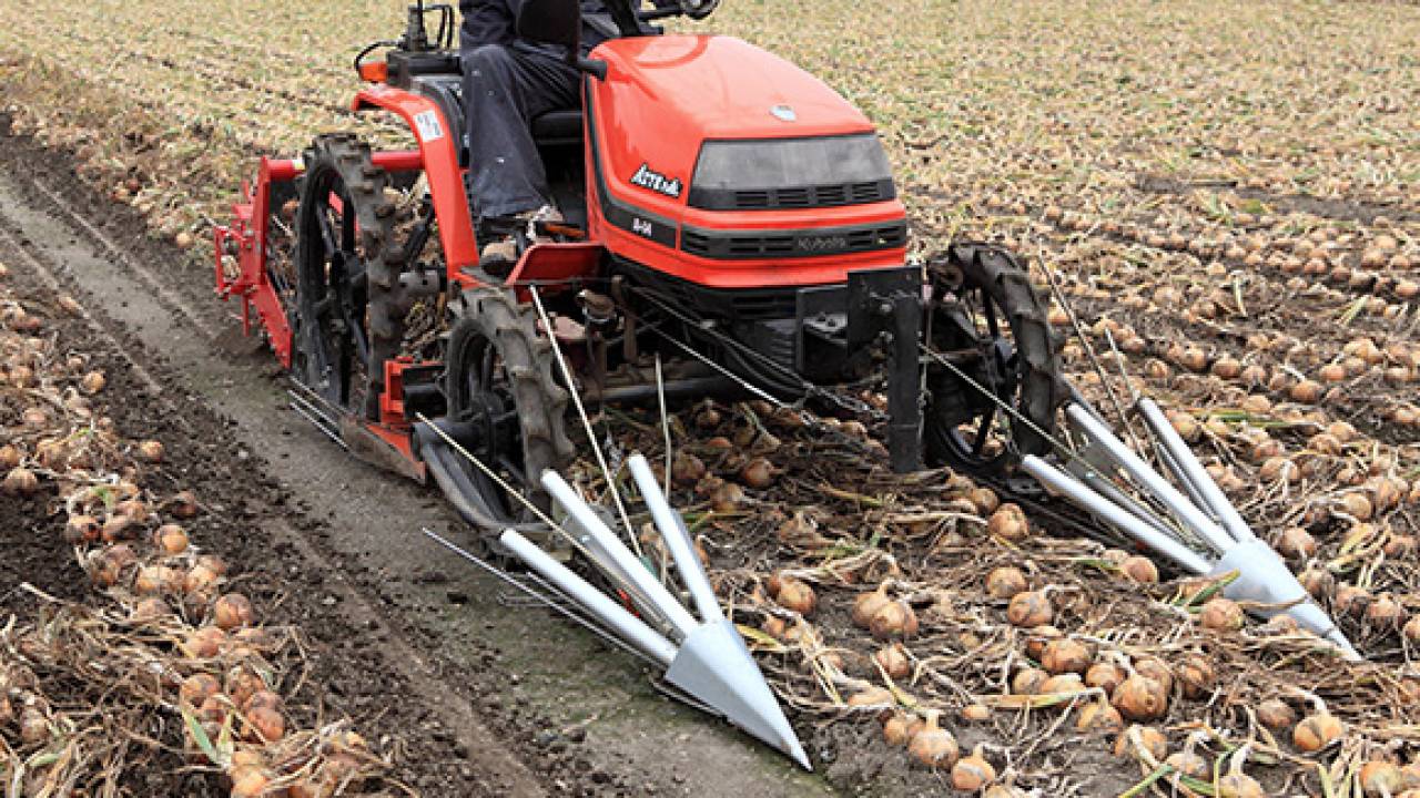 農業パンクすぎる！玉ねぎの根切りするトラクターがめちゃくちゃかっこいい！