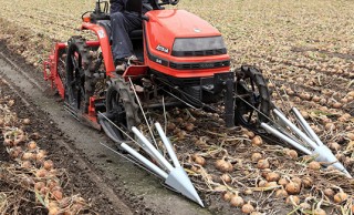 農業パンクすぎる！玉ねぎの根切りするトラクターがめちゃくちゃかっこいい！