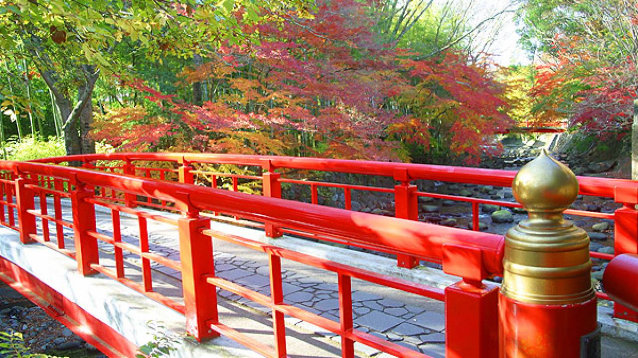今年こそ！伊豆の歴史ある日本百名湯「修善寺温泉」を堪能したい！