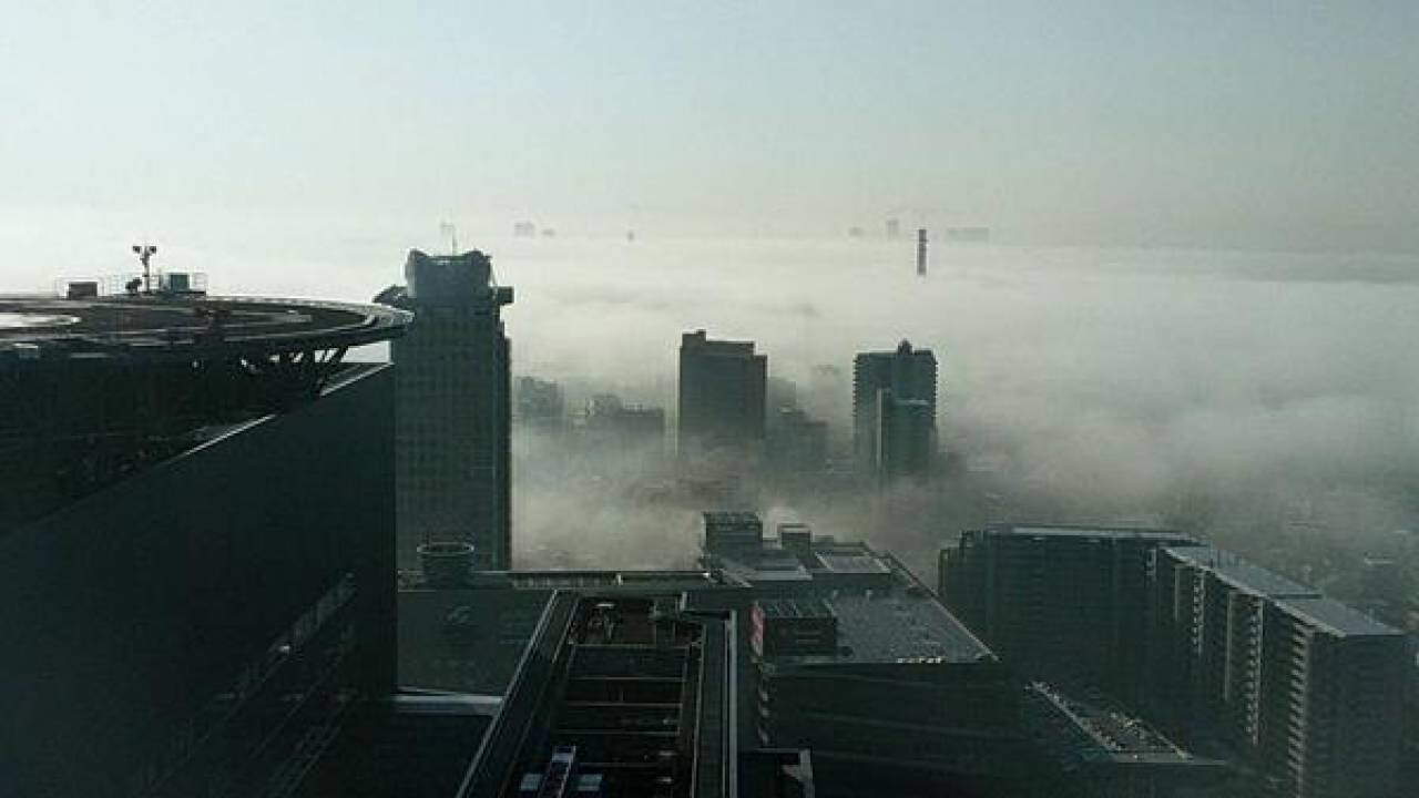 今朝のさいたま市が＂霧＂に包まれてまるで雲海状態、幻想的すぎると話題に