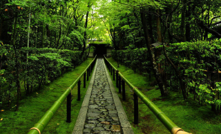 京都 洛西の観光でお寺や神社巡りをするならまずはここからでしょう！