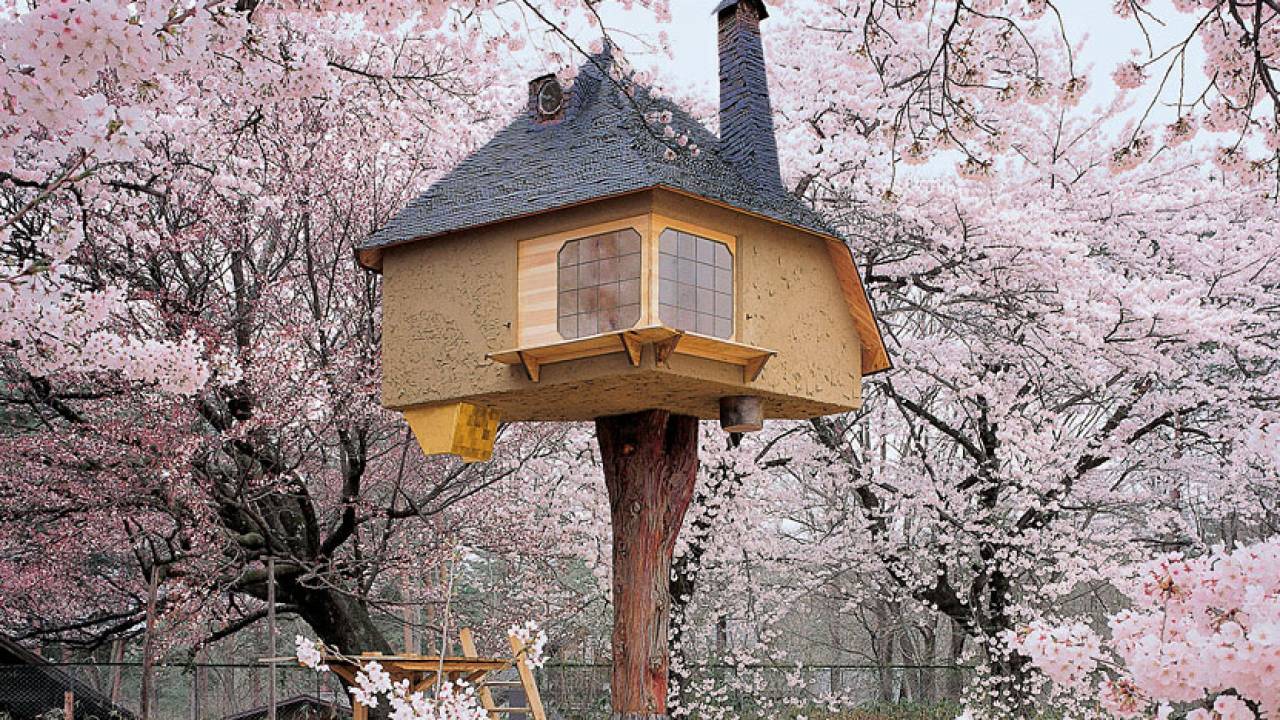 まさに浮かぶ茶室！木の上に作られた「茶室 徹」の美しさが見事としか言いようが！
