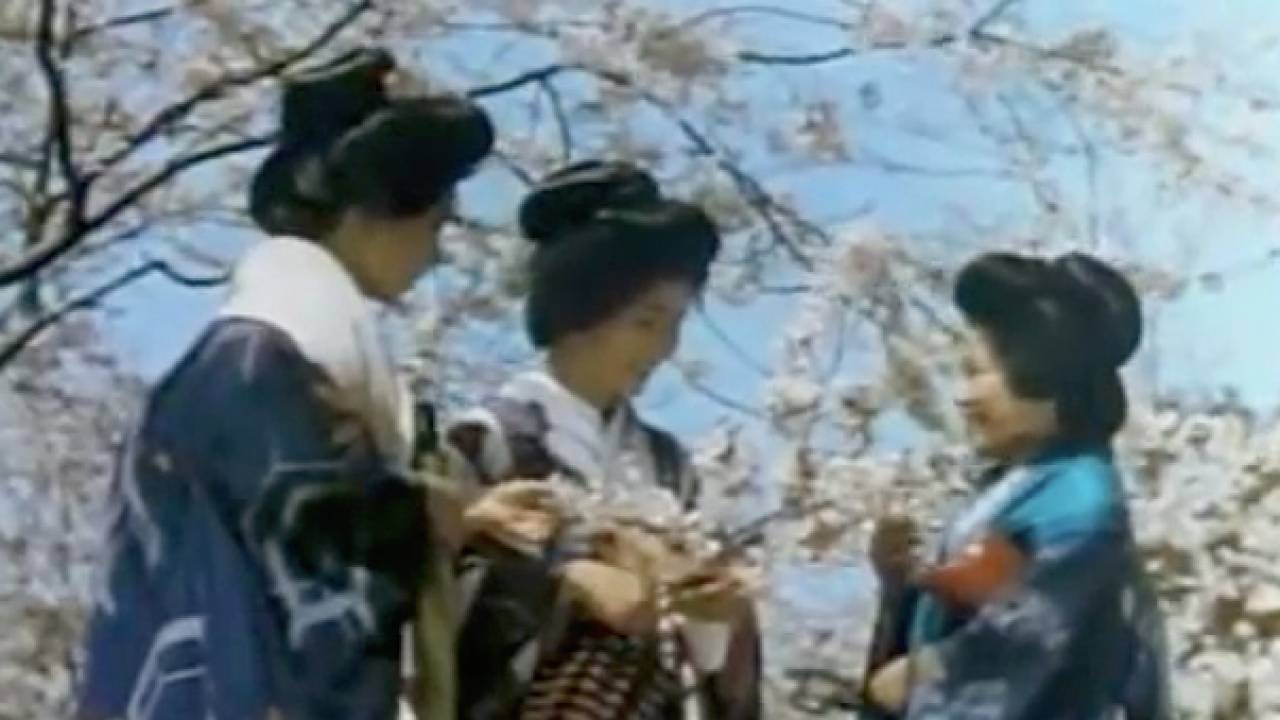 昭和9年の京都のカラー映像！着物・日本髪結いの映像を５分あまりたっぷりと