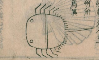 ゆるすぎる！江戸時代の古文書に描かれたカブトガニが超絶ゆるキャラ！