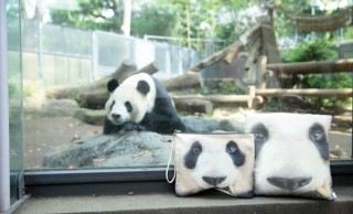 愛くるしい！上野動物園の動物達が大胆にプリントされたバッグがめちゃリアル