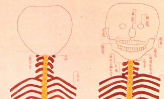 ちょっぴり可愛い♪ 江戸時代に医師が描いた人骨の仕組みの図が愛嬌アリ！