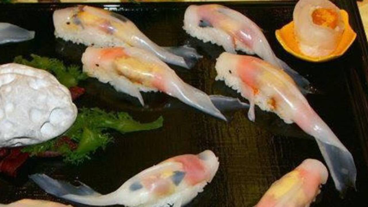 なんとこれ寿司！錦鯉の姿を妙にリアルに再現した「姿寿司」が話題に！