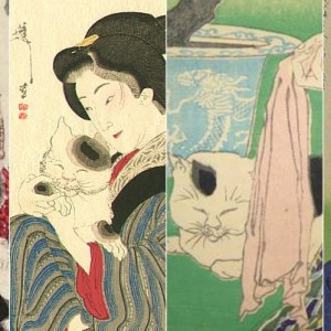 仕草が可愛いっ 幕末の浮世絵師 月岡芳年が描いた 猫 がステキすぎるよ アート 日本画 浮世絵 Japaaan