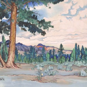 アメリカにも衝撃を与えた!日本画の技でアメリカの壮大な風景を描いた「小圃千浦」の生涯 アート 日本画・浮世絵 Japaaan