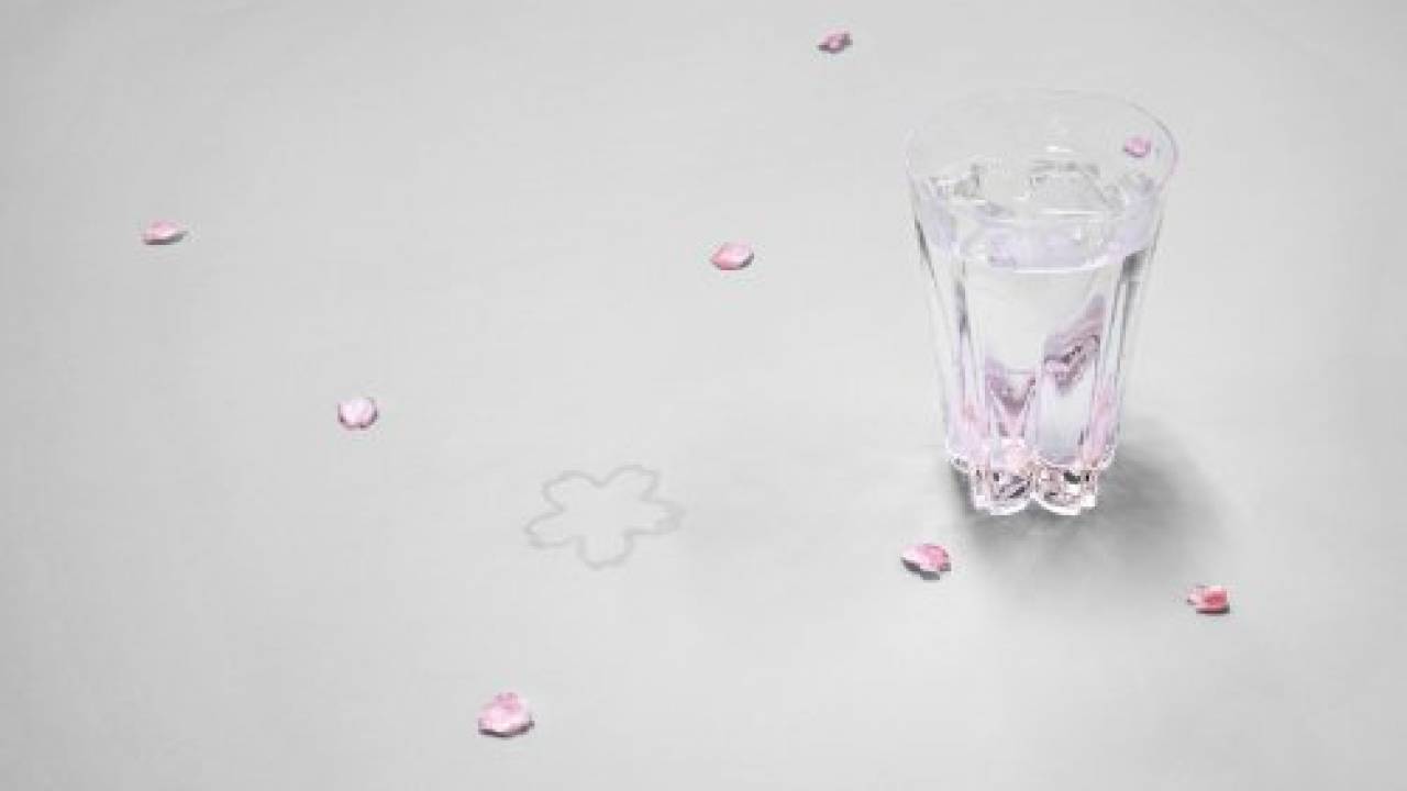 なんてステキな演出！デザインの力で食卓に美しい桜の花が咲く「SAKURASAKUグラス」