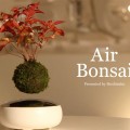 これはまるで魔法！空中浮遊する盆栽「Air Bonsai」がいよいよオンラインストアで販売スタート