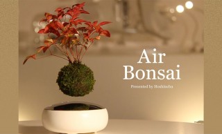 未来的で美しい！不思議に空中浮遊する盆栽「Air Bonsai」がステキ