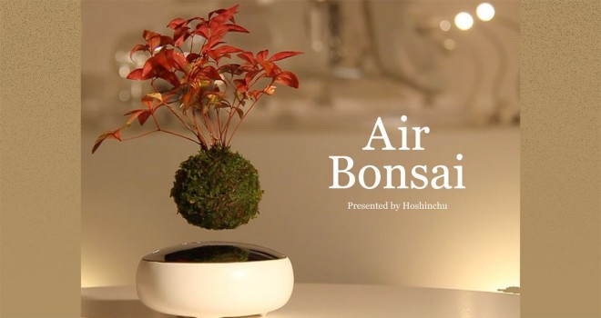 未来的で美しい 不思議に空中浮遊する盆栽 Air Bonsai がステキ 雑貨 インテリア Japaaan