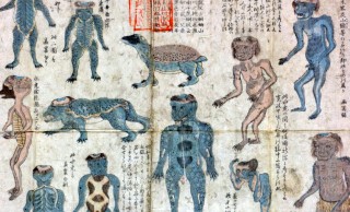 これ完全にホラー！河童を本当に信じてた江戸時代に描かれた「水虎十二品之図」の不気味さよ