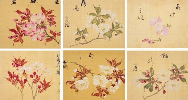桜満開の季節にぴったり 29種もの桜を写生した江戸時代の絵師 坂本浩然による 桜花譜 アート 日本画 浮世絵 Japaaan