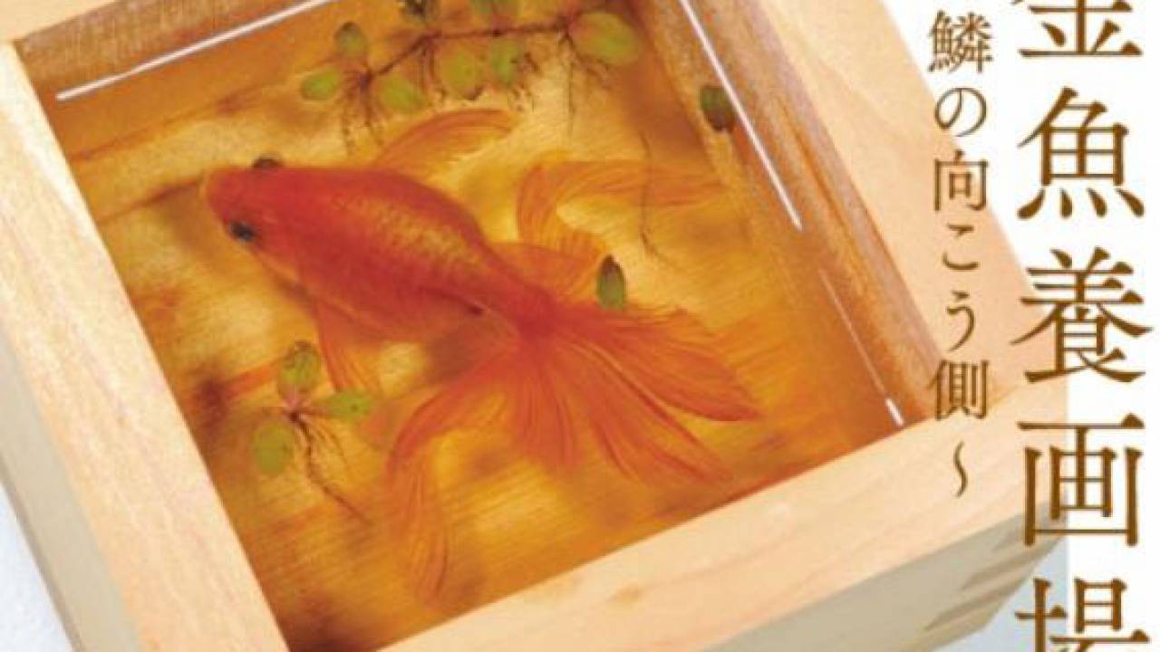 何度観てもホント美しい！金魚絵師 深堀隆介さんの作品展「金魚養画場〜鱗の向こう側〜」が開催です