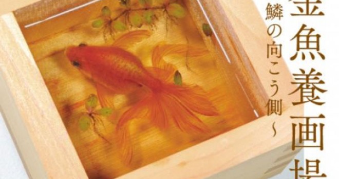 何度観てもホント美しい 金魚絵師 深堀隆介さんの作品展 金魚養画場 鱗の向こう側 が開催です アート Japaaan