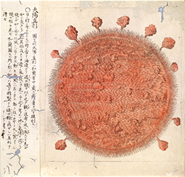 『天球全図』の内、「太陽真形」司馬江漢撰 寛政8年（1796）頃刊（銅版彩色）