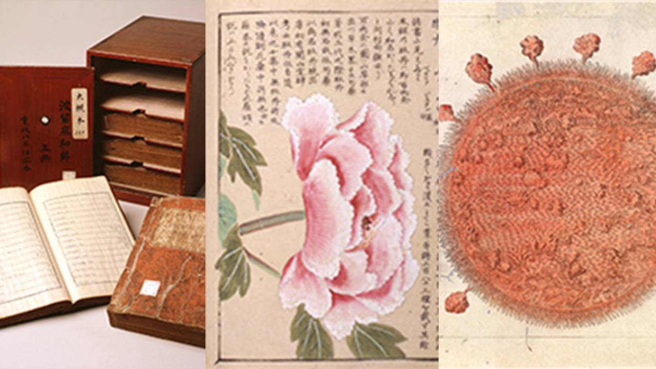江戸の人々の探究心たるや！貴重な本草書から江戸時代の博物学を紹介「江戸の博物学」展が開催