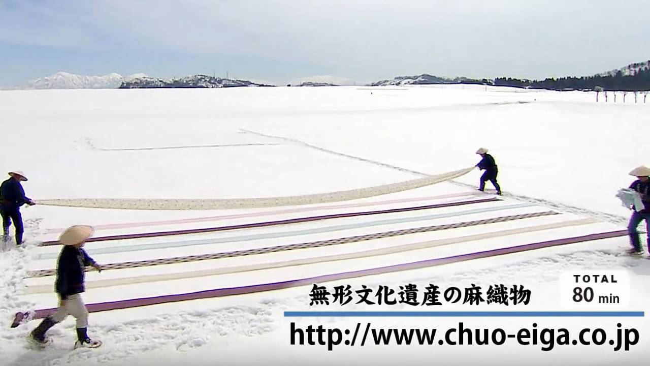 雪上に並ぶ反物が美しい！夏の着物・小千谷縮の大切な工程「雪晒し」のステキ映像