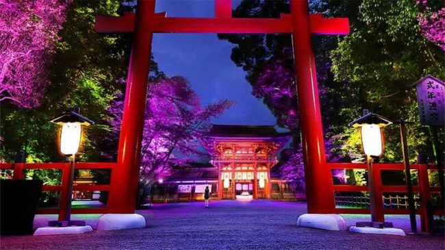 いよいよ開催 世界遺産 下鴨神社が幻想的な光の空間に チームラボによる 糺の森の光の祭 京都府 観光 地域 Japaaan