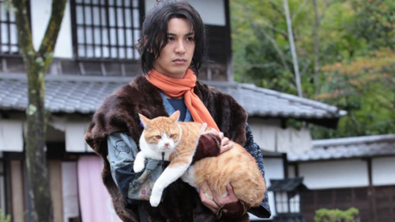 こんどは忍者www あの猫侍の制作チームが新作「猫忍」のドラマ＆映画公開を決定