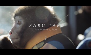 お猿の表情が愛らしい！大分市PR映像は可愛くも本格的なムービー「SARU TABI」