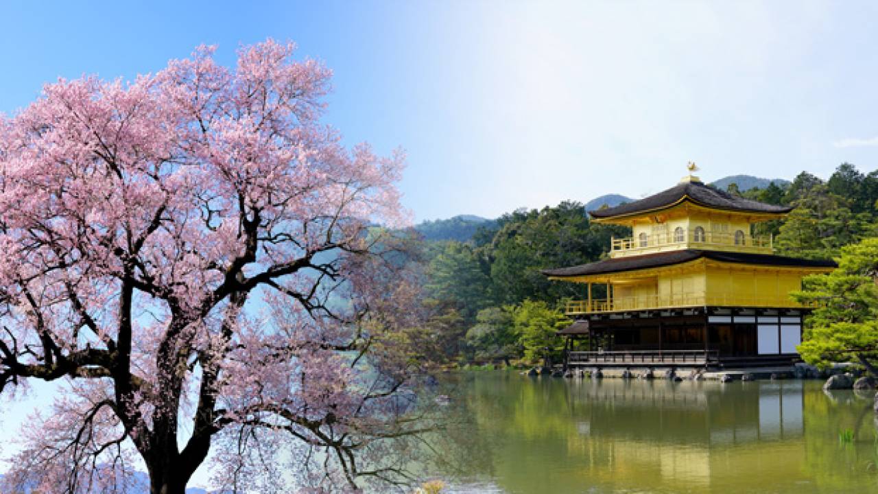 大道具仕掛けも見もの！桜の季節に見たい歌舞伎「金閣寺」はディズニーもびっくりのファンタジー