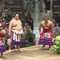 横綱 鶴竜の愛らしさよ カプセルから出てきた鶴竜が可愛いすぎる Japaaan