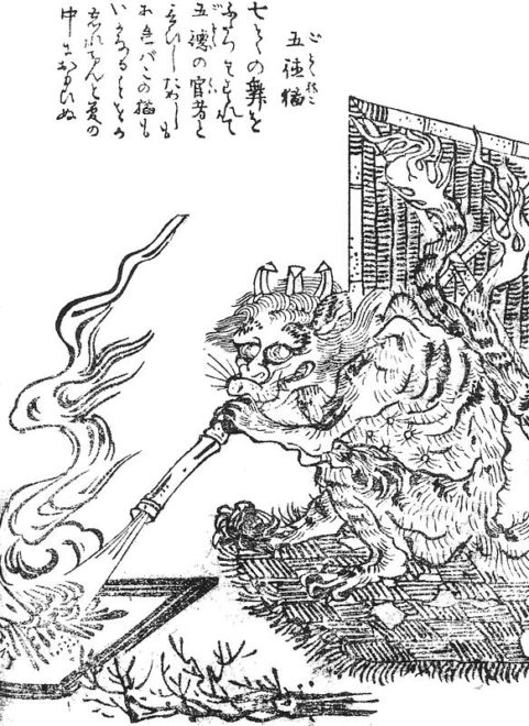 犬や猫 狸や狐などなど 知れば知るほど興味深い 動物妖怪の世界 歴史 文化 Japaaan ページ 2