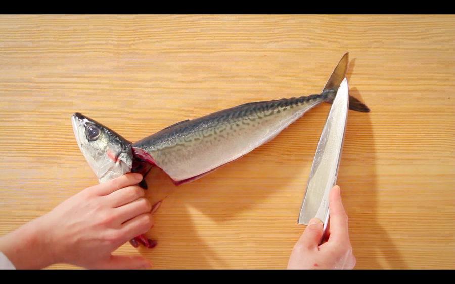 これは為になる!動画80本超、あらゆる魚の”さばき方”を紹介した「日本さばけるプロジェクト」がスゴイ | グルメ - Japaaan