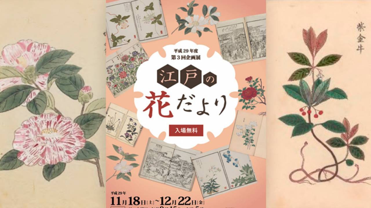 観覧無料！紅葉の見頃にぴったり、江戸時代の人々の植物への関心に迫る企画展「江戸の花だより」