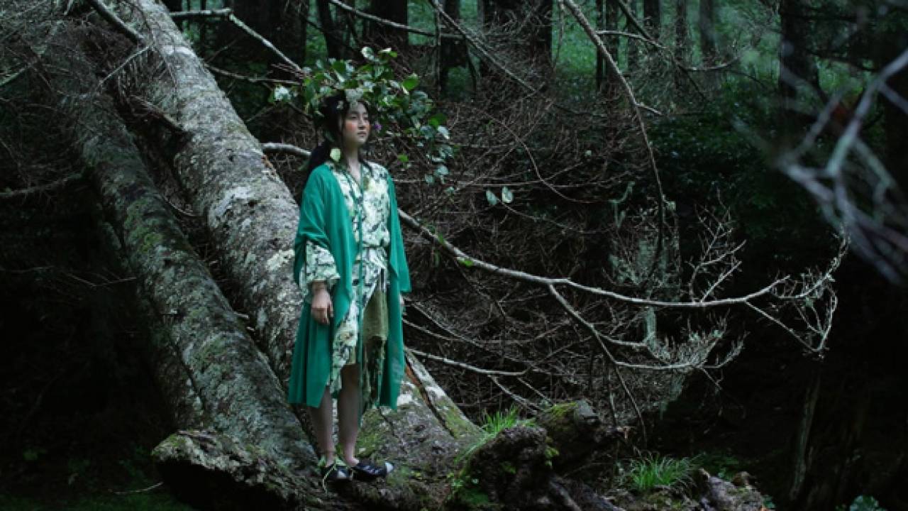 太古から変わらない森…。長野県伊那市のプロモ動画「イーナ・ムービーズ-森のこえ-」の世界感が美しい！